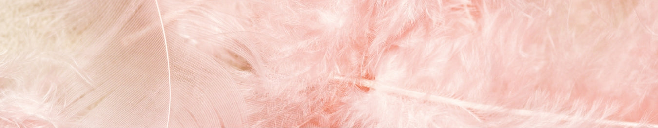Floristry Accessory Feathers