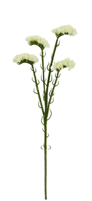 Artificial Statice Sinuata - White/Ivory (62cm long with 4 heads)