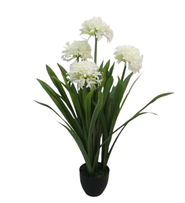 Artificial Agapanthus Bush - White/Green (103cm long with 5 heads)