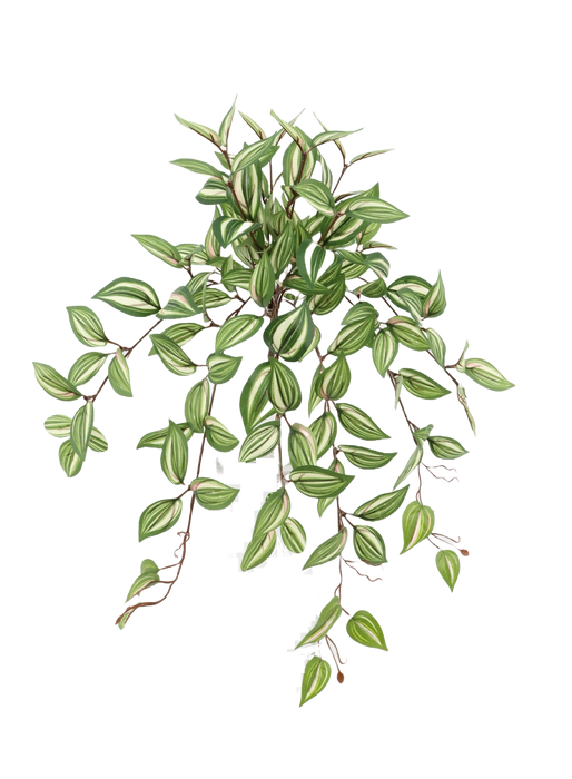 Artificial Tradescantia Hanging Bush - Green/Red (57cm long)