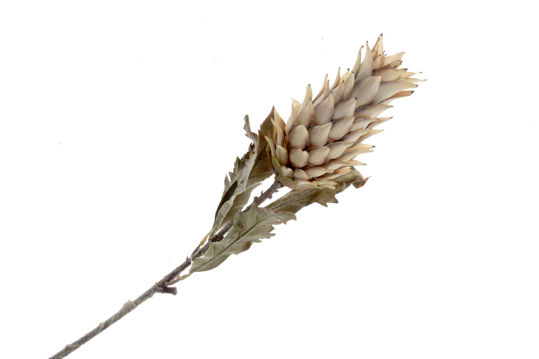 Dry Artificial Pineapple Fruit Spray - Brown/Beige (80cm long)