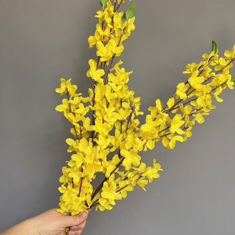 Forsythia Spray – Yellow