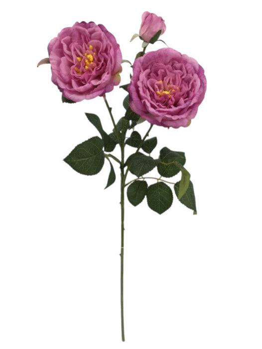 Garden Rose Spray - Purple (2 heads, 1 bud. 59cm long)