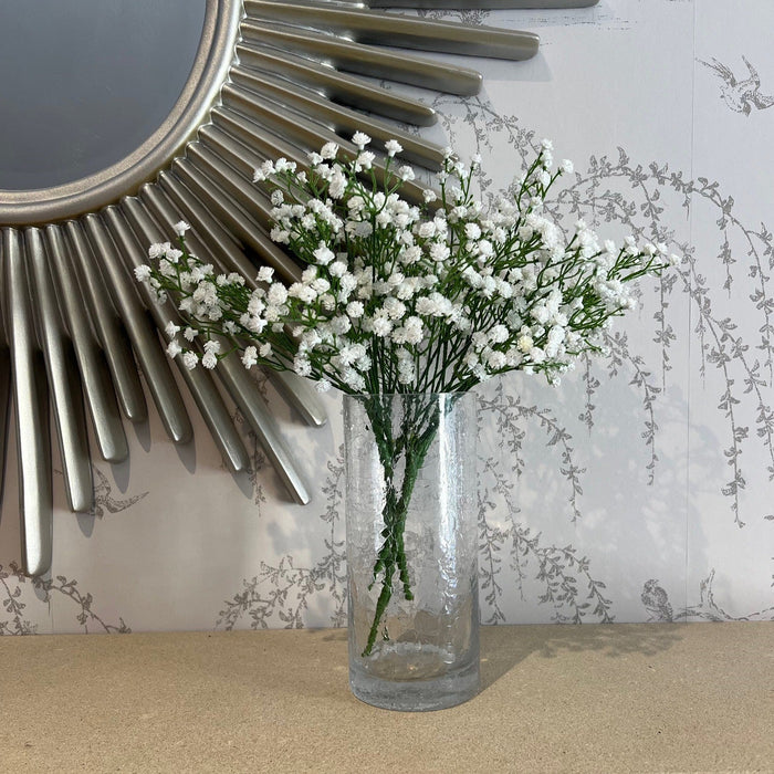Gypsophila Spray - White & Green (30cm long, 5 stems per pk)