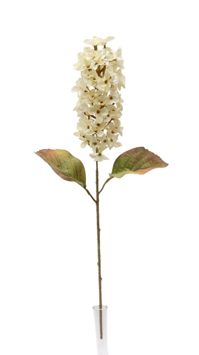 Dry Look Panicled Hydrangea Stem - Ivory (68cm long)