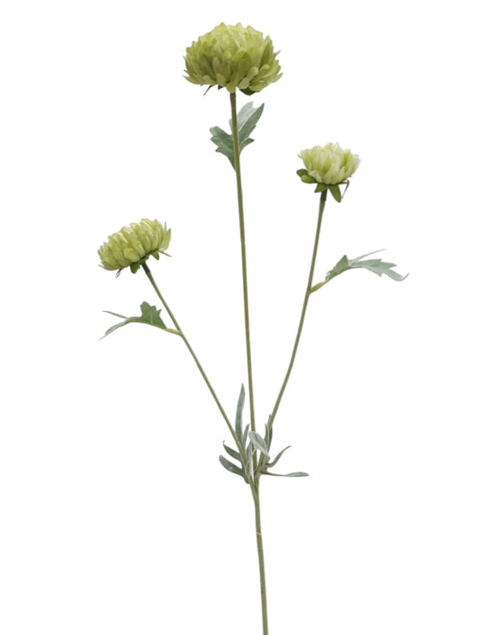 Mini Chrysanthemum Spray - Green (70cm long)