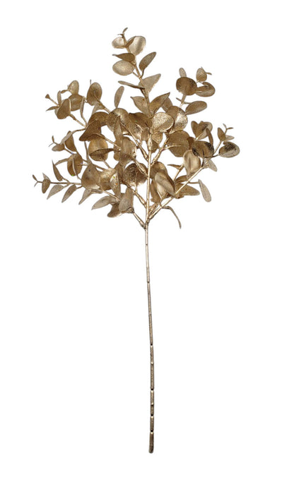 Metallic Eucalyptus Pick - Champagne (37.5cm long)
