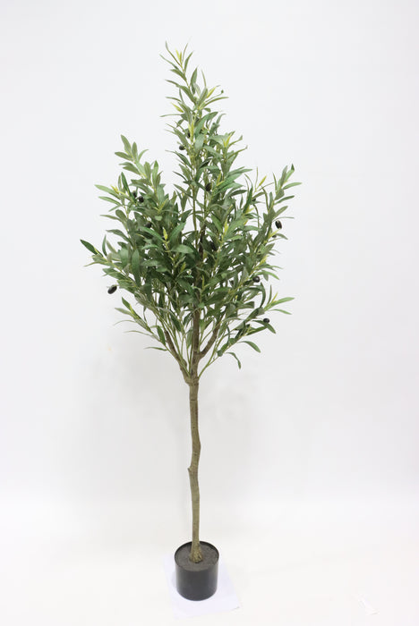 Artificial Olive Tree - Green (162cm long)