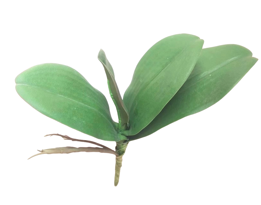 Real Touch Orchid Leaves - Green (22cm long)