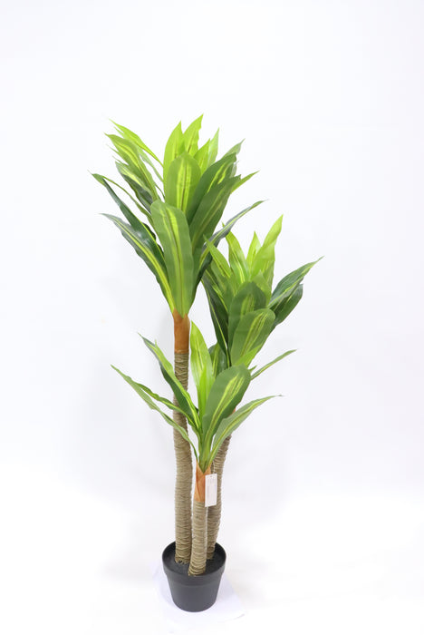Artificial Real Touch Dracaena Tree - Green (120cm long with 3 heads)