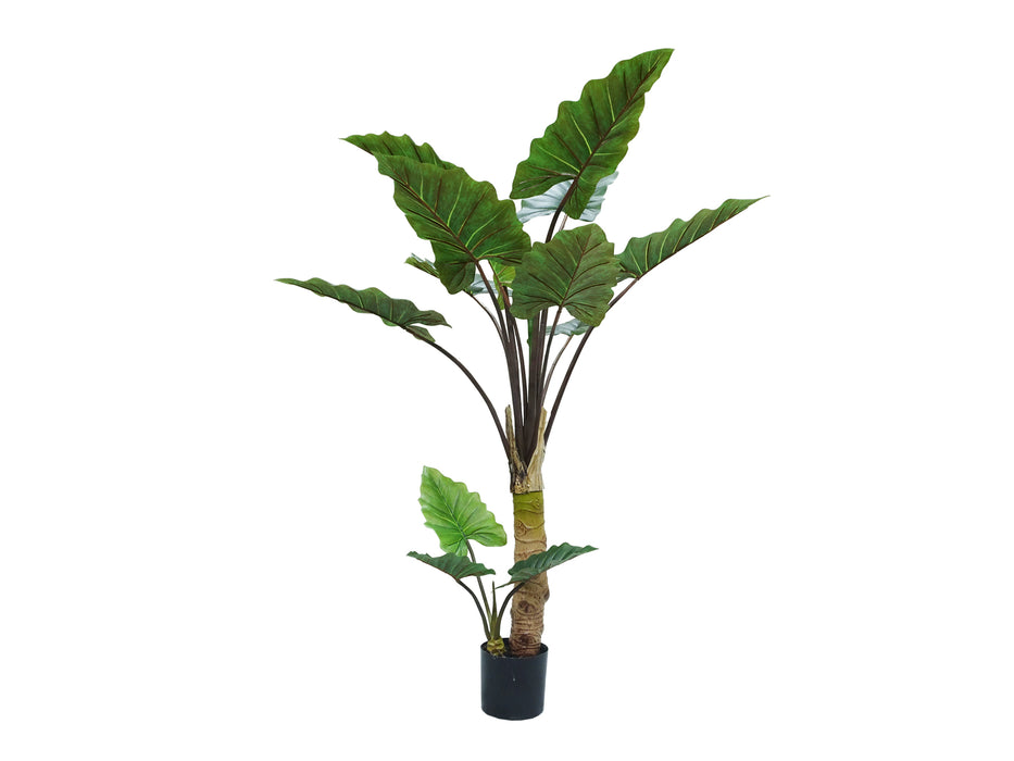 Real Touch Alocasia Plant - Green (120cm long with 13 leaves)