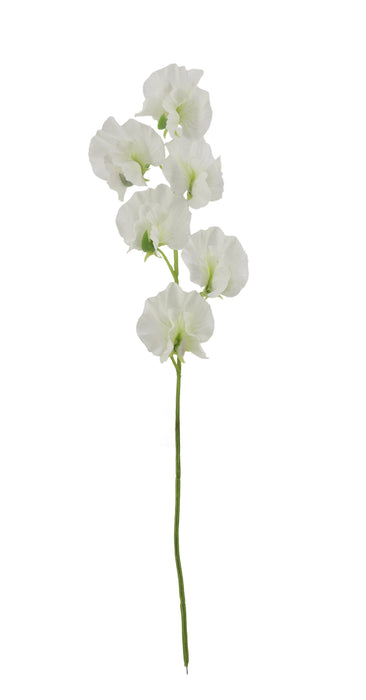 Sweet Pea Spray - White (42cm long)