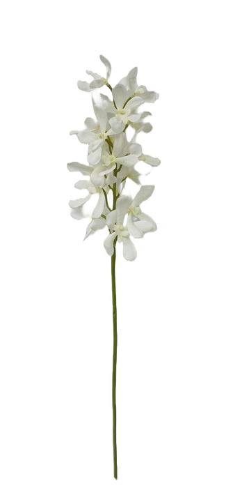 Artificial Vanda Orchid - White/Green (82cm long)