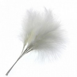 Fluffy Feathers - White (24cm Long, 6pcs per pk)