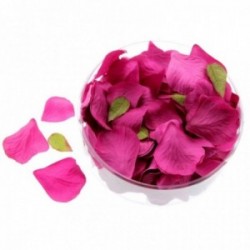 Rose Petals - Hot Pink (164pcs per pk)