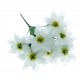 Poinsettia Bush - White (7 Heads)