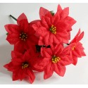 Poinsettia Bush - Red (7 Heads)