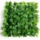 Ivy Foliage Tile - Green (50cm x 50cm)