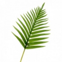 Real Touch Fern Palm Leaf - Green (65cm long)