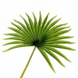 Real Touch Fan Palm Leaf - Green (82cm Long)