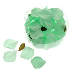 Rose Petal Box - Mint Green (164pcs per pk)