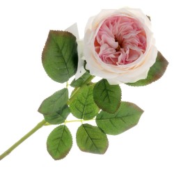 Garden Rose - Light Pink (50cm long)