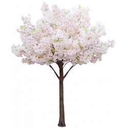 Cherry Blossom Tree - Pink/White (1.8m tall)