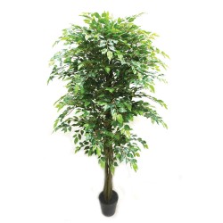Real Touch Potted Ficus Tree - Natural (180cm tall)