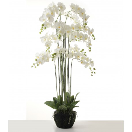 Real Touch Orchids In Moss Pot - White (150cm tall, 13 stems)