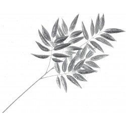 Metallic Ficus Spray - Silver (55cm Long)
