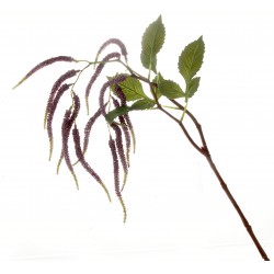 Amaranthus Spray - Purple (95cm long, 14 heads)