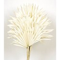 Sun Palm - White (6pcs per pk)