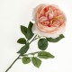 Garden Rose - Peach (50cm long)