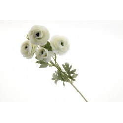 Mini Ranunculus Stem - Cream/Ivory (6 heads, 67cm long)