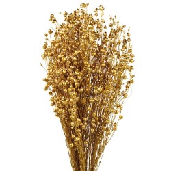 Dried Lino - Gold (50cm long, 110g)