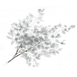 Silver Leaf Branch - Silver (100cm long)