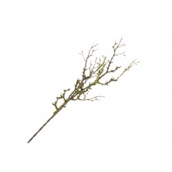 Mossed Willow Spray - Natural (90cm long)