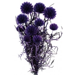 Preserved Echinops - Purple (10 pieces per pk)
