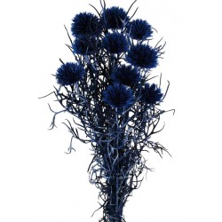 Preserved Echinops - Blue (10 pieces per pk)