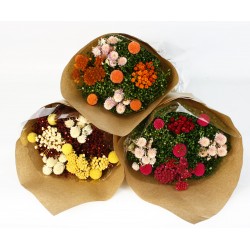 Dried Flower Bouquet (3 colour styles per box, 65cm long x 20cm diameter)