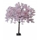Trailing Cherry Blossom Tree - Pink/White (1.6m tall)