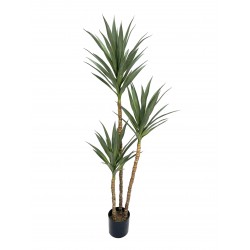 Artificial Yucca Tree in pot - Natural (UV protected, 3 heads, 180cm tall)
