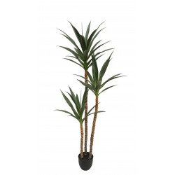 Artificial Yucca Tree in pot - Natural (UV protected, 3 heads, 168cm tall)