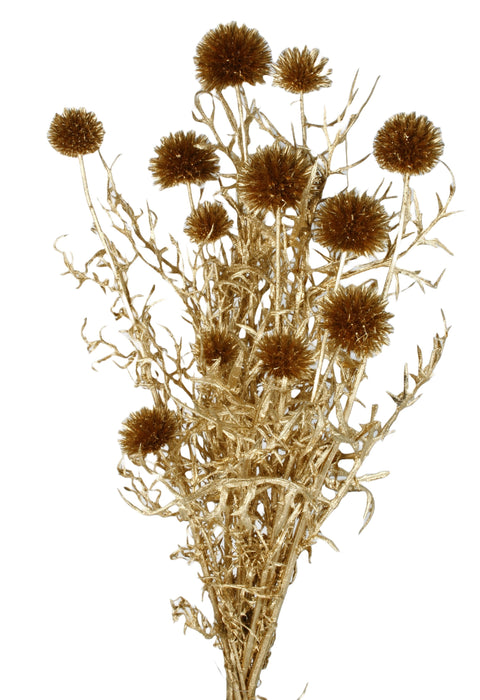 Preserved Echinops - Gold (10 pieces per pk)