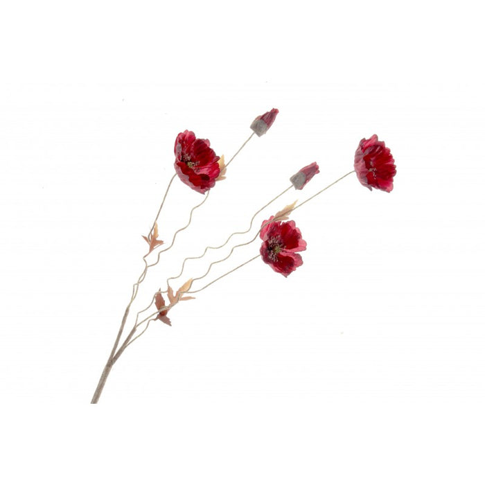 104cm Dry Poppy Spray - Red (5 heads)