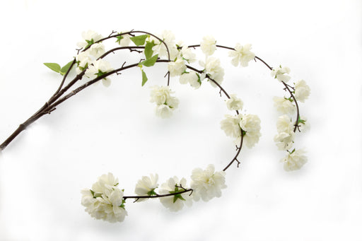 Large Cherry Blossom Spray - Cream (95cm Long)