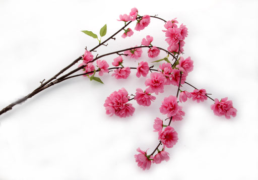 Large Cherry Blossom Spray - Dark Pink (95cm Long)