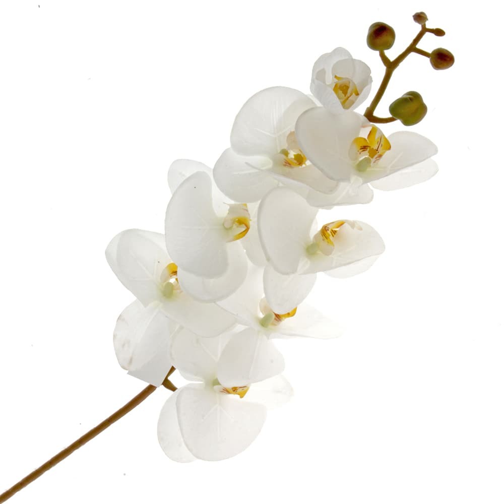 Wholesale Artificial Orchids