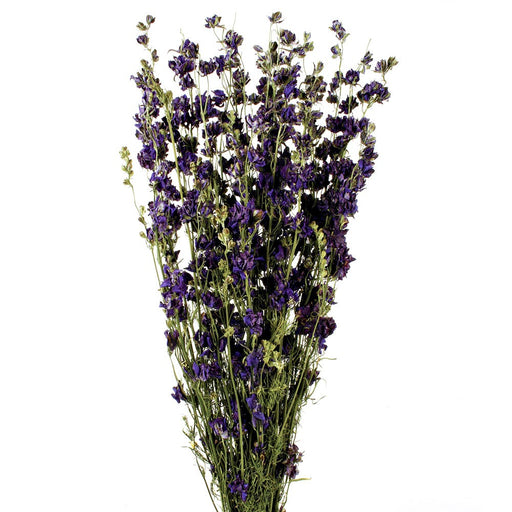 Dried Delphiniums - Blue (70cm tall)