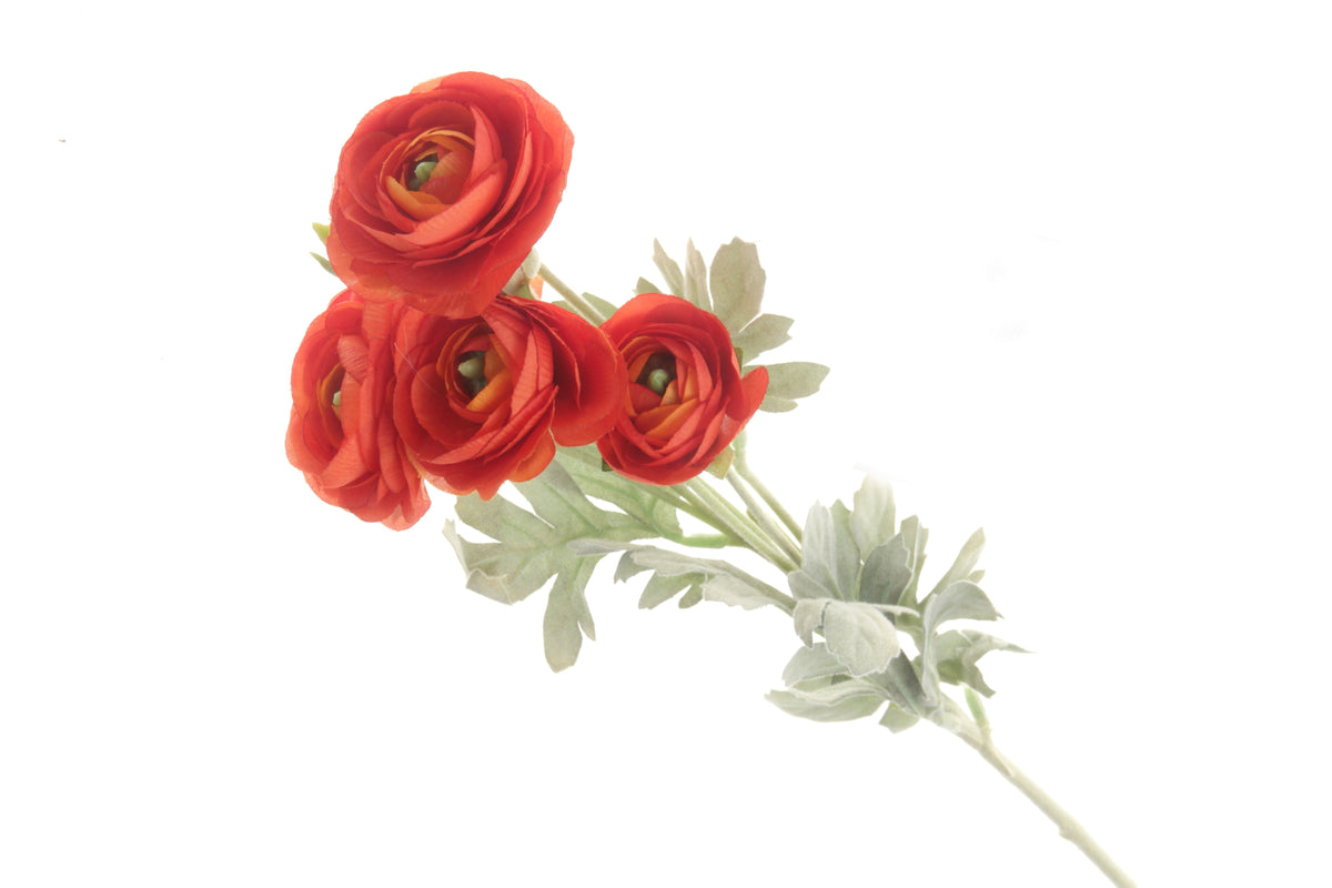 Small Ranunculus Invertirbrate Mini Ranunculus Stem - Orange (6 heads, 67cm long) — Corsage Creations